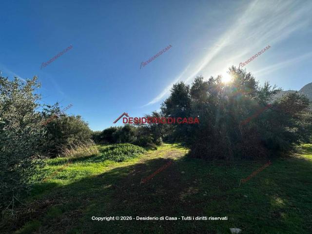 Terreno in vendita a Termini Imerese, Sicilia