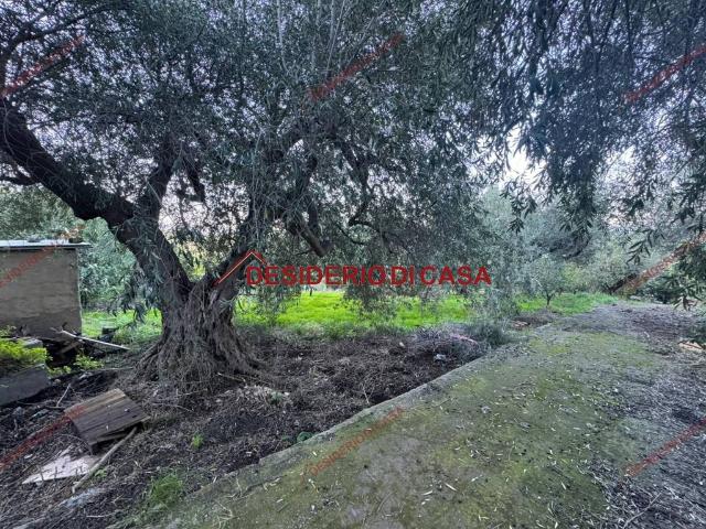 Terreno in vendita a Termini Imerese, Sicilia