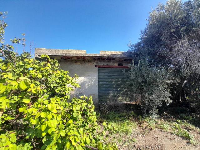 Terreno in vendita a Termini Imerese, Sicilia