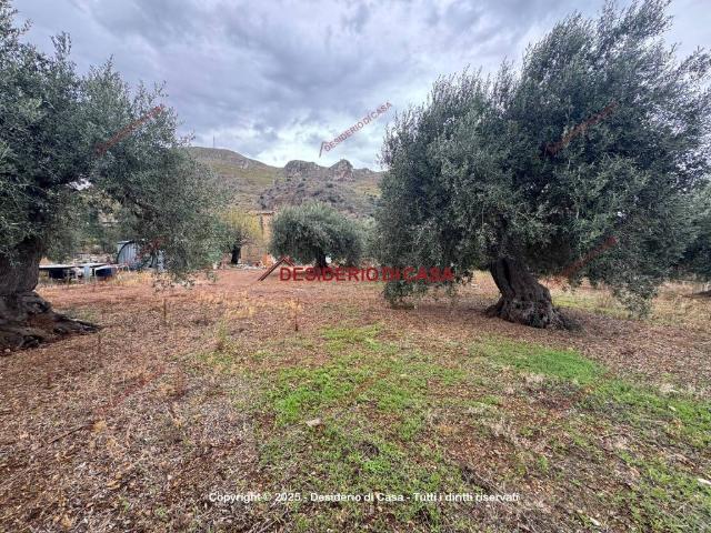 Terreno in vendita a Termini Imerese, Sicilia