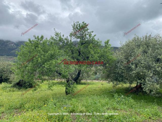 Terreno in vendita a Termini Imerese, Sicilia