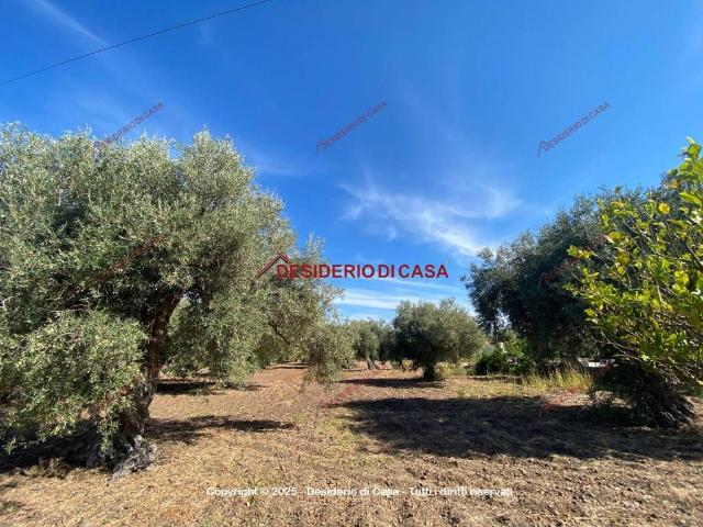 Terreno in vendita a Termini Imerese, Sicilia