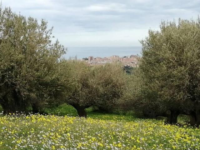 Terreno in vendita a Termini Imerese, Sicilia