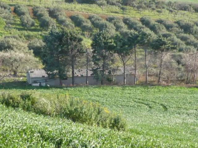 Terreno in vendita a Termini Imerese, Sicilia