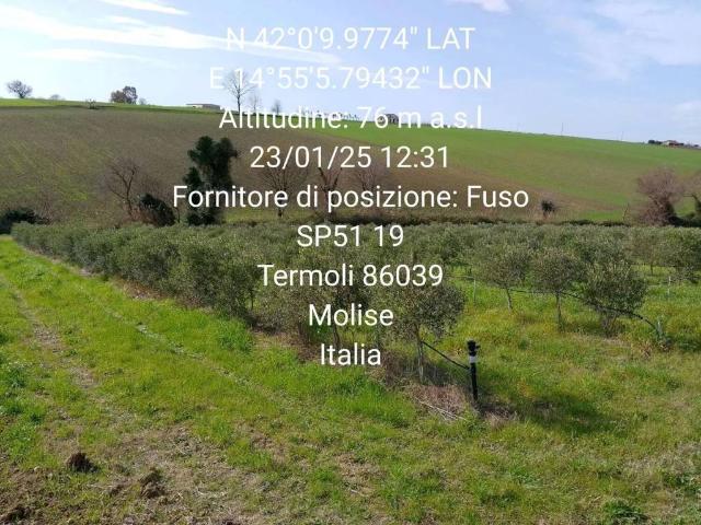 Terreno in vendita a Termoli, Molise
