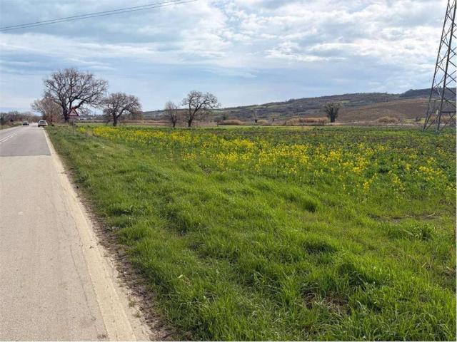 Terreno in vendita a Termoli, Campobasso