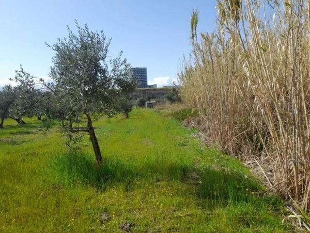 Terreno in vendita a Termoli, Campobasso