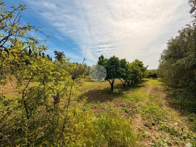 Terreno in vendita a Termoli, Molise