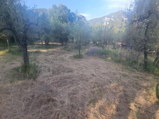 Terreno in vendita a Terni, Umbria