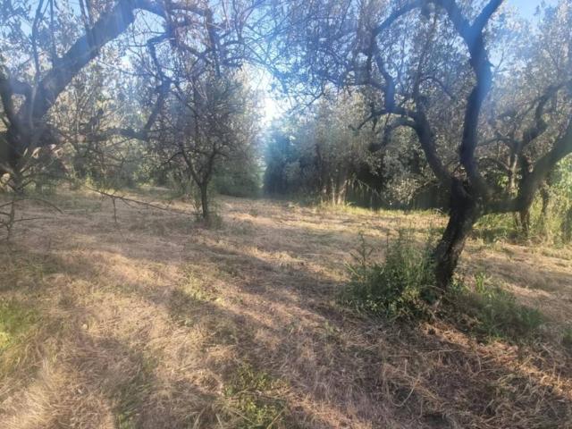Terreno in vendita a Terni, Umbria