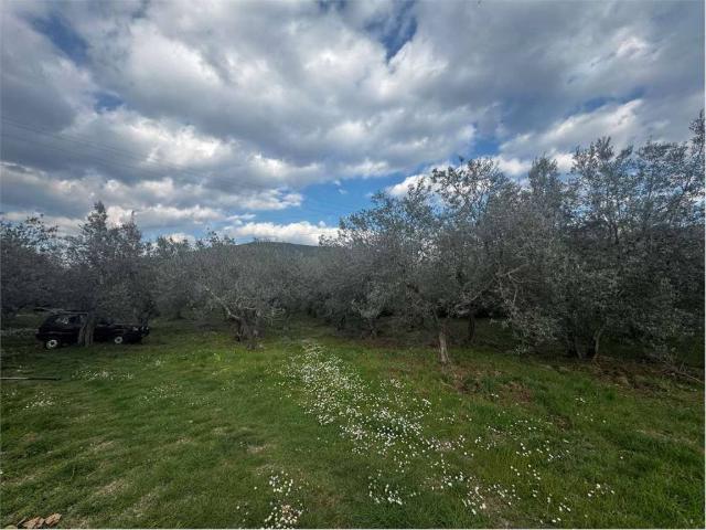 Terreno in vendita a Campomicciolo, Terni