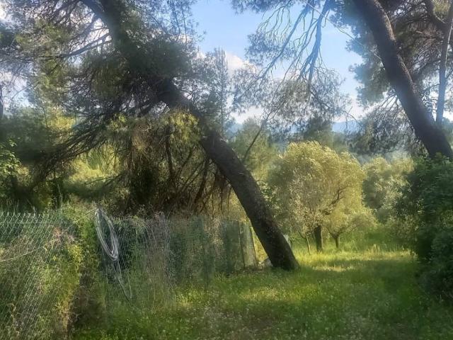 Terreno in vendita a Terni, Umbria
