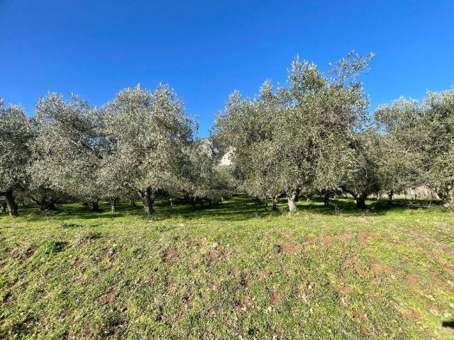 Terreno in vendita a Campitello, Terni