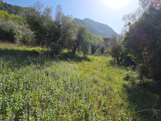 Terreno in vendita a Terni, Umbria