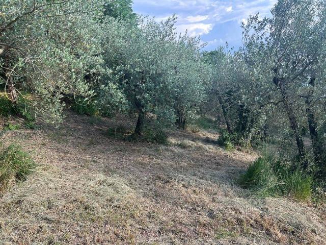 Terreno in vendita a Poggio Azzuano, Terni
