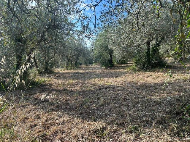 Terreno in vendita a Poggio Azzuano, Terni