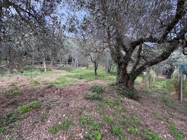 Terreno in vendita a Terni, Umbria