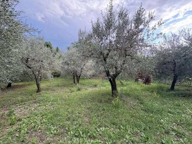 Terreno in vendita a Terni, Umbria