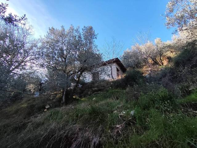 Terreno in vendita a Poggio Azzuano, Terni