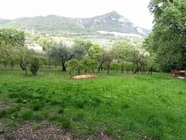 Terreno in vendita a Cesi, Terni