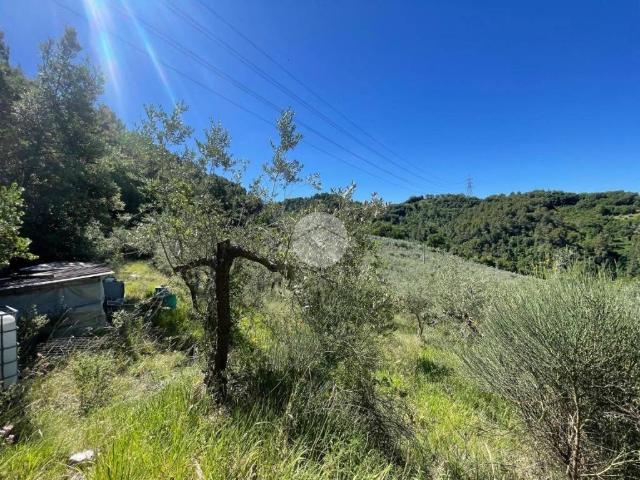 Terreno in vendita a Terni, Umbria