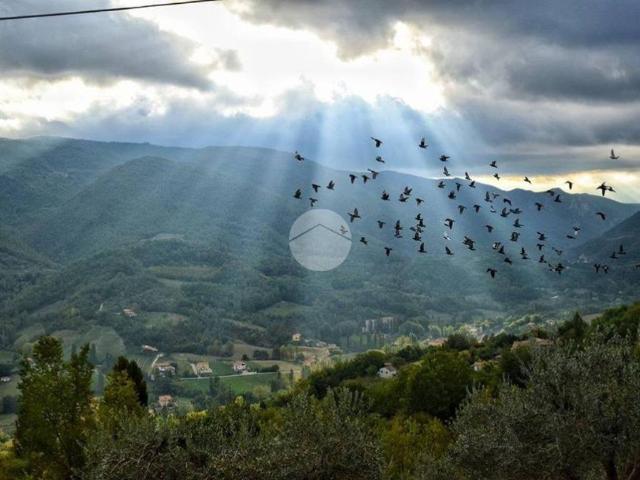 Terreno in vendita a Terni, Umbria