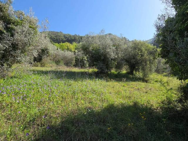 Terreno in vendita a Terni, Umbria