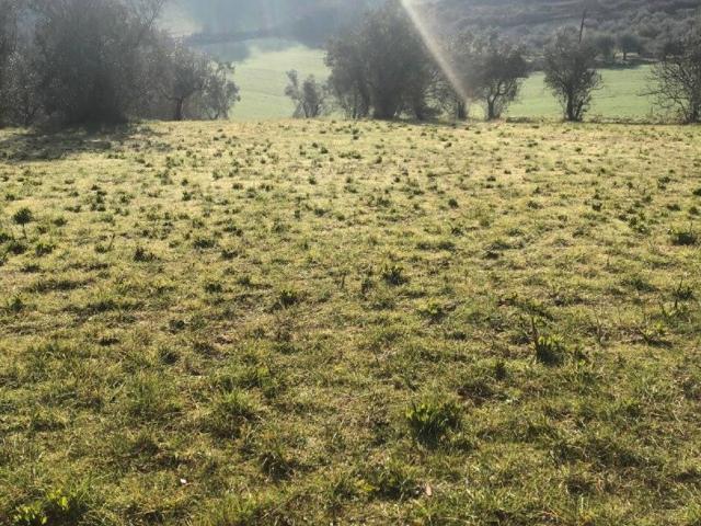 Terreno in vendita a San Valentino, Terni