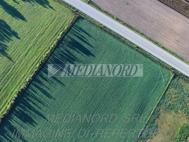 Terreno in vendita a Terno D'isola, Lombardia