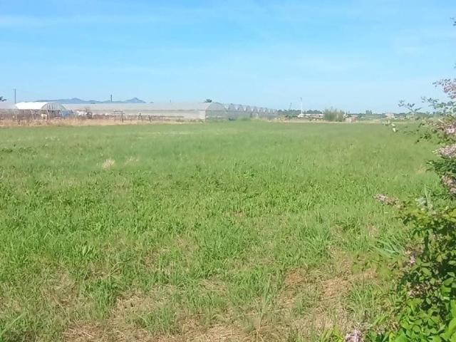 Terreno in vendita a Terracina, Lazio