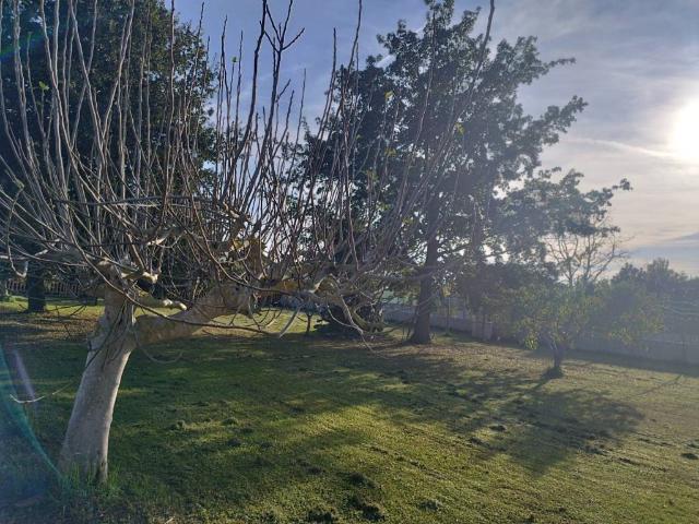 Terreno in vendita a Porto Badino, Terracina