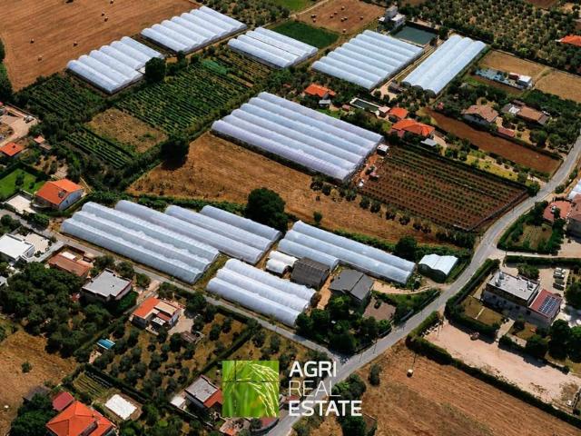 Terreno in vendita a Terracina, Lazio