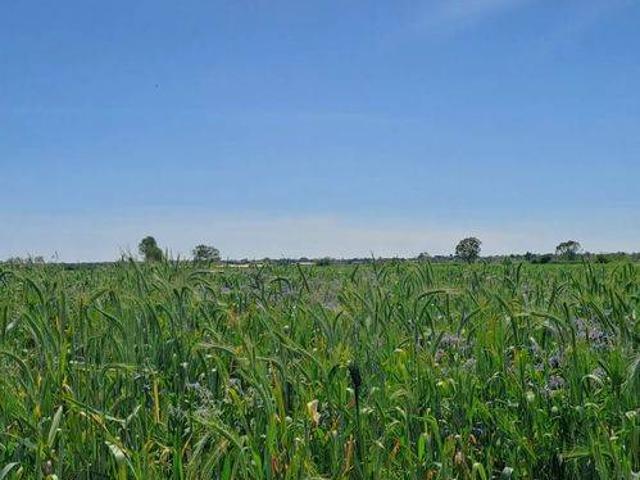 Terreno in vendita a Terracina, Lazio