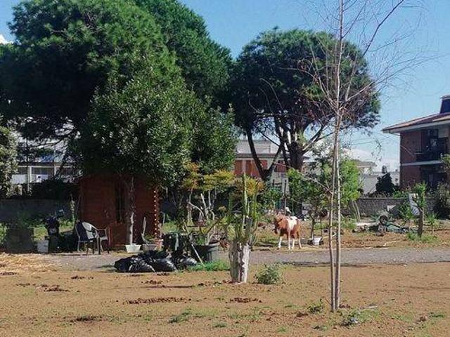 Terreno in vendita a Terracina, Lazio