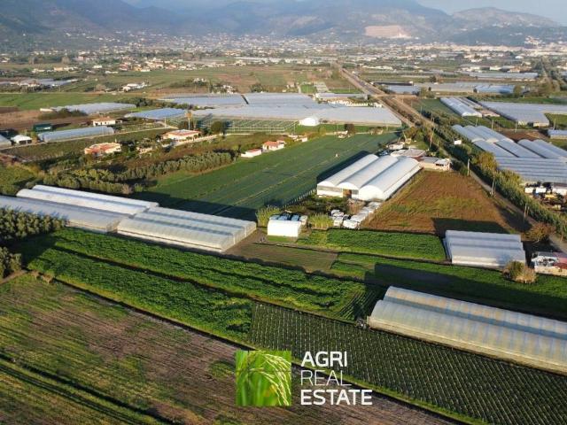 Terreno in vendita a Porto Badino, Terracina