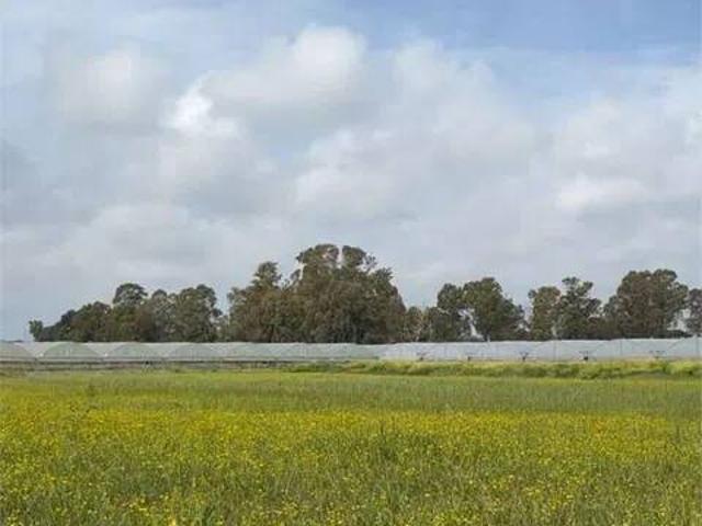 Terreno in vendita a Terracina, Latina