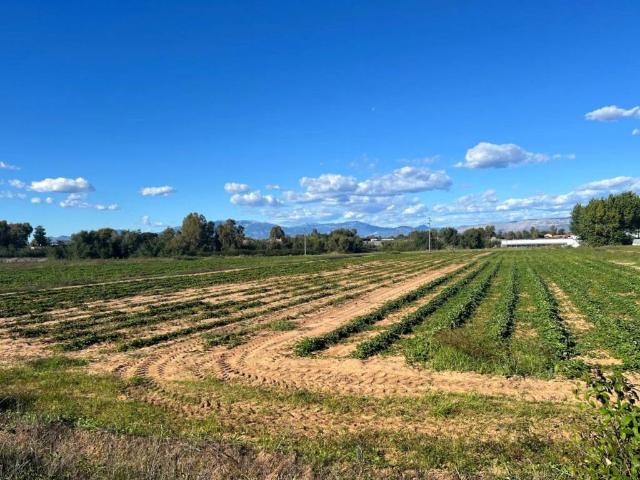 Terreno in vendita a Terracina, Lazio