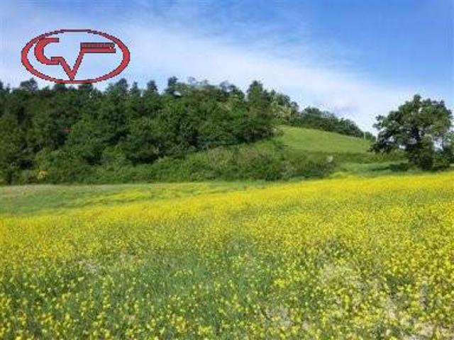 Terreno in vendita a Terranuova Bracciolini, Toscana
