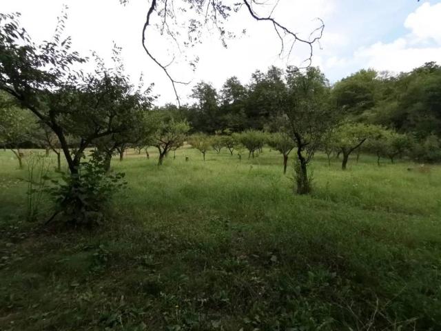 Terreno in vendita a Terranuova Bracciolini, Toscana
