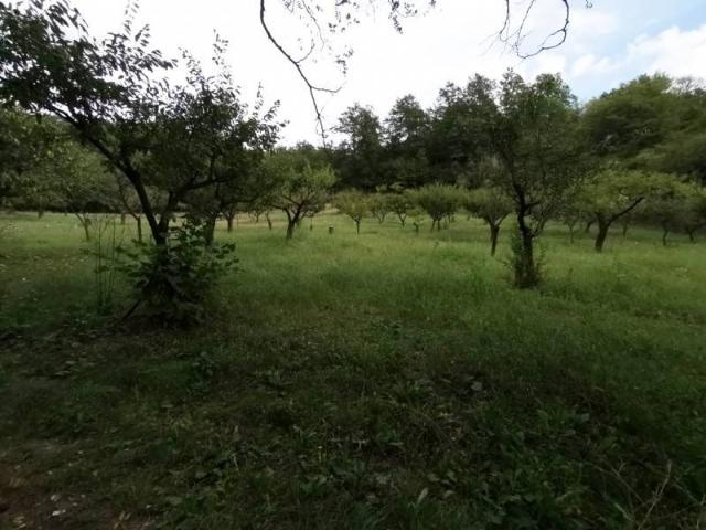 Terreno in vendita a Terranuova Bracciolini, Toscana