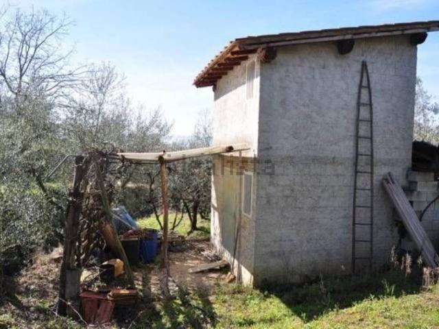 Terreno in vendita a Terranuova Bracciolini, Toscana