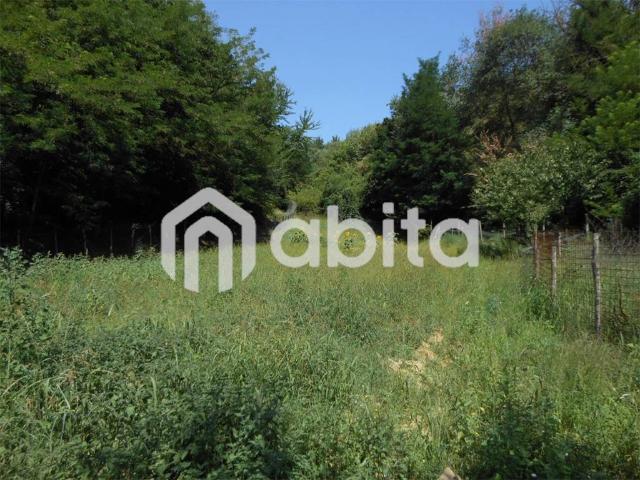 Terreno in vendita a Terranuova Bracciolini, Toscana