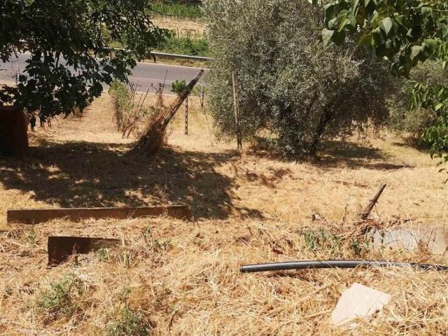 Terreno in vendita a Terranuova Bracciolini, Toscana
