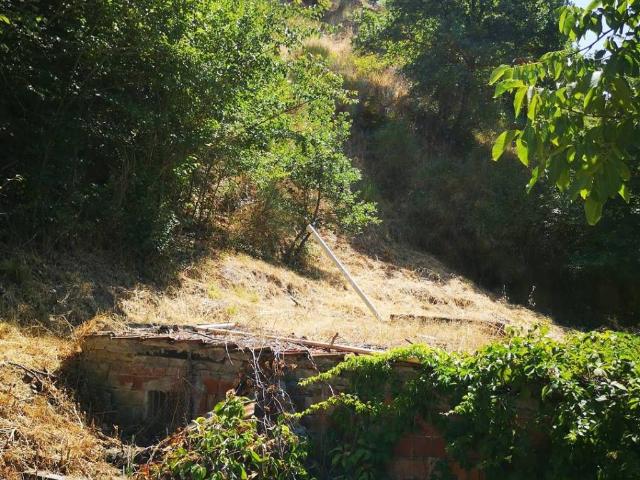 Terreno in vendita a Terranuova Bracciolini, Toscana