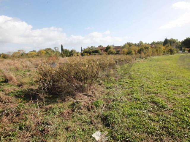 Terreno in vendita a Terranuova Bracciolini, Toscana