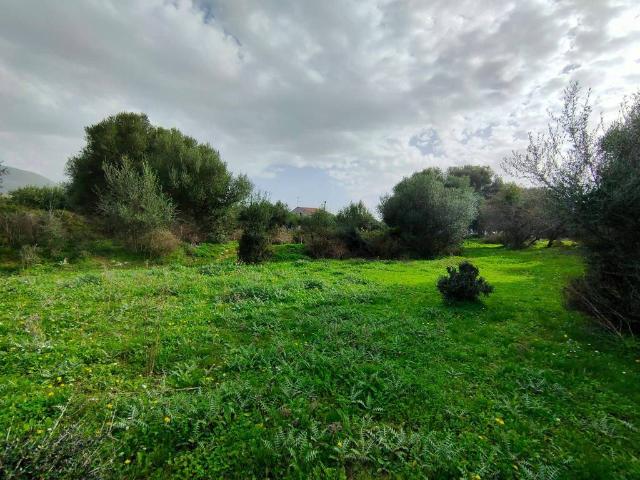 Terreno in vendita a Terrasini, Palermo
