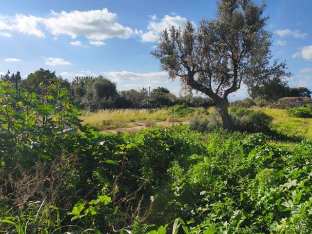 Terreno in vendita a Terrasini, Sicilia