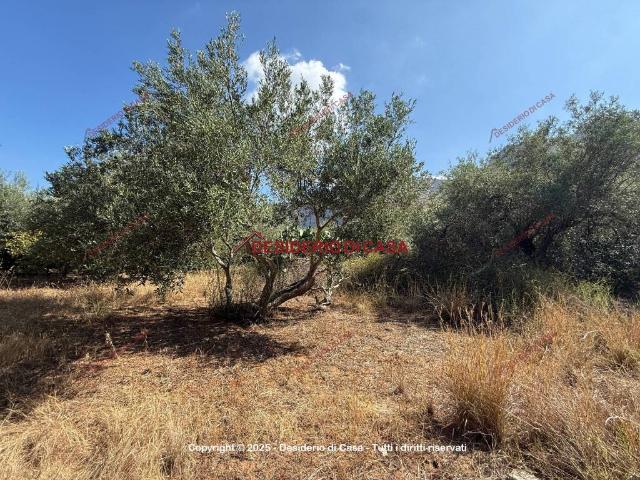 Terreno in vendita a Terrasini, Sicilia