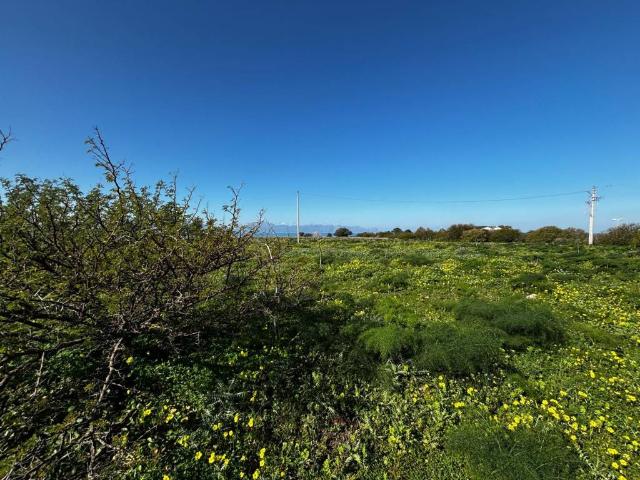 Terreno in vendita a Terrasini, Sicilia