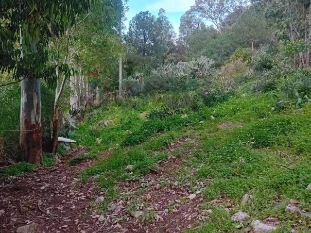 Terreno in vendita a Terrasini, Sicilia